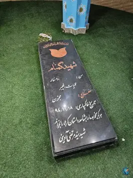 عکس گلزار شهدای گمنام دانشگاه آزاد لامرد 3