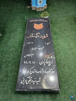 عکس گلزار شهدای گمنام دانشگاه آزاد لامرد 7