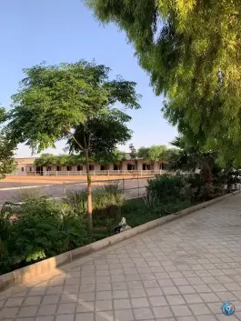 عکس باشگاه سوارکاری چابک ولیعصر قم 5