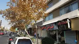 عکس طباخی ساعی، محله ولیعصر تهران 2