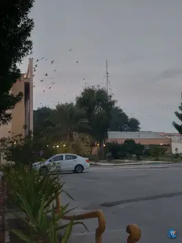 عکس دانشگاه خلیج فارس، محله دانشگاه، بوشهر 10