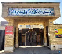 هنرستان دخترانه انصاری در محله صنایع الکترونیک شیراز
