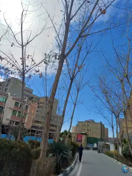 عکس دانشکده مهندسی نفت در محله ولیعصر تهران 3