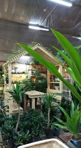 گل فروشی امپراطوری گلها در محله عمار یاسر قم