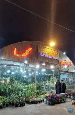 عکس گل فروشی امپراطوری گلها در محله عمار یاسر قم 5