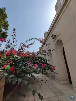 عکس عمارت طبیب در بافت قدیم بوشهر 3