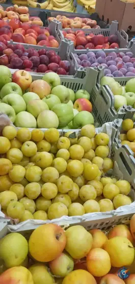 میوه فروشی پاییزان در بنیاد قم