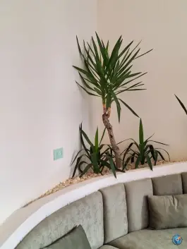 کافه رستری بوربون، سلماس