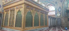 عکس استخر مجموعه تفریحی ورزشی احسان ماندگار گلشهر کرج 3