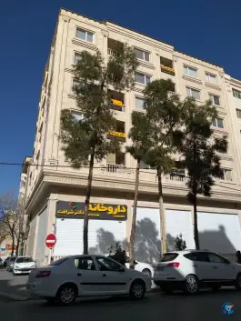 ساختمان پزشکی نخبگان در محله فلسطین شیراز