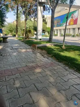 ساختمان خیام ولیعصر تهران