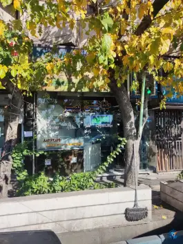 عکس کله پزی کوی نصر تهران 2