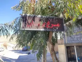 عکس کله پزی و مرغ بریان نارنج بدره 5
