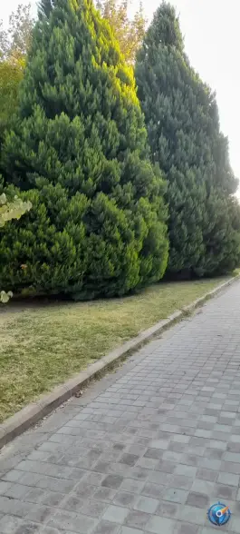 عکس دانشکده علوم ورزشی و تربیت بدنی در هزار جریب اصفهان 4