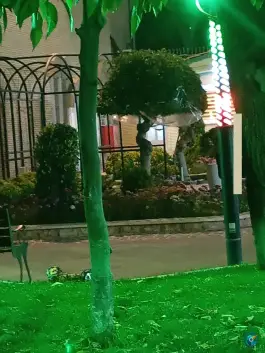 رستوران باشگاه صنعت نفت شیراز در محله ارم