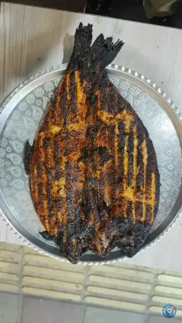 جگرکی نادر در تازه آباد سنندج