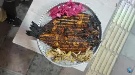 عکس جگرکی نادر در تازه آباد سنندج 7