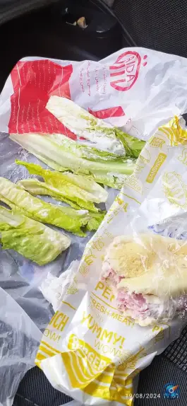عکس ساندویچ آیدا در گلشهر ویلا کرج 3