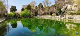 عکس استخر پارک رسالت در عظیمیه کرج 1