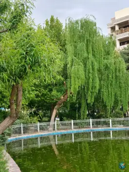 عکس استخر پارک رسالت در عظیمیه کرج 8