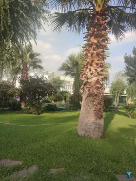عکس هتل ارم تهران در محله ونک تهران 9