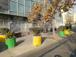 عکس استخر دانشگاه شریف تهران در محله تیموری 5