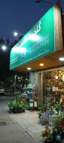 گلخانه دست خدا در محله بنیاد قم