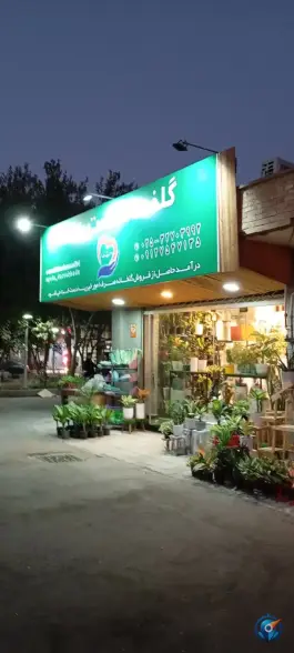 عکس گلخانه دست خدا در محله بنیاد قم 3