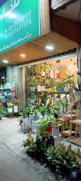 عکس گلخانه دست خدا در محله بنیاد قم 4