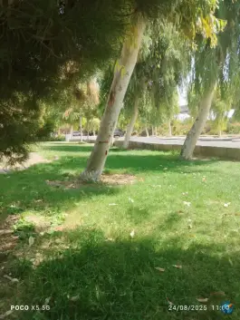 عکس بوستان شهید بنیادی قم 7