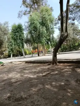 عکس بوستان شهید بنیادی قم 9