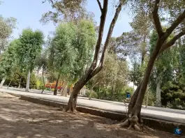 عکس بوستان شهید بنیادی قم 10