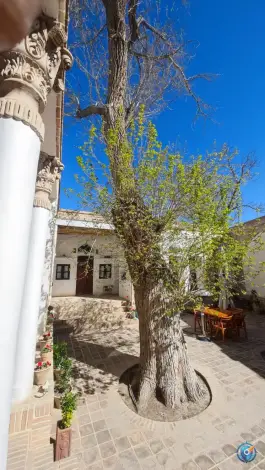 عکس عمارت اجلال تفرش 4
