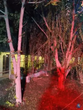عکس سفره خانه سنتی فردین اصفهان 2