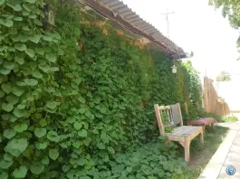 عکس سفره خانه سنتی فردین اصفهان 3