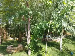 عکس سفره خانه سنتی فردین اصفهان 5