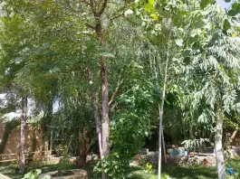 عکس سفره خانه سنتی فردین اصفهان 7