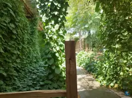 عکس سفره خانه سنتی فردین اصفهان 10