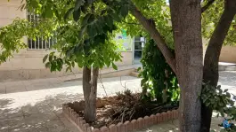مرکز بهداشت و پایگاه ضمیمه گزلی در طلوع کرج