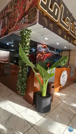 عکس مجموعه غذایی حامد در رسالت شمالی مشهد 5