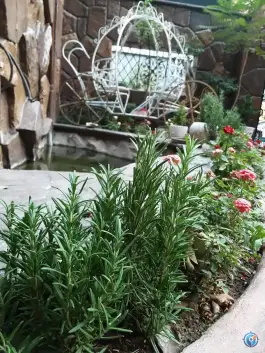عکس سفره خانه سنتی سپهسالار 4