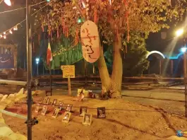 عکس پارک لاله، محله انصارالحسین قم 7