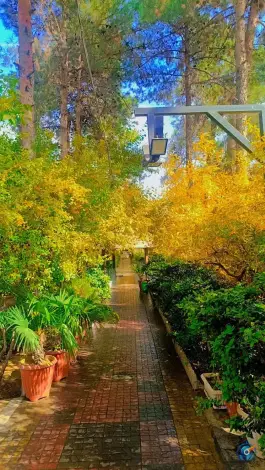 عکس باغ رستوران کاریزما در بلوار علوی شیراز 2