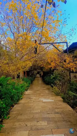 عکس باغ رستوران کاریزما در بلوار علوی شیراز 3