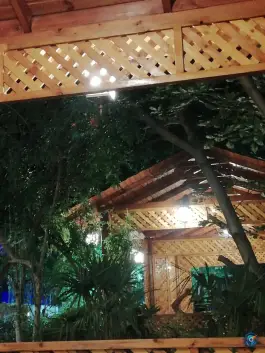 عکس باغ رستوران کاریزما در بلوار علوی شیراز 9