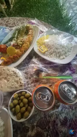 عکس باغ رستوران اعیونی 3