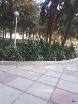 عکس بوستان شهید مصطفی خمینی، محله نیروگاه قم 3