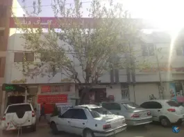 عکس داروخانه دکتر نجیبی در محله قالیشویی شیراز 2