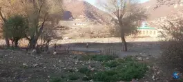استخر سر باز امامزاده عبدالله در هزارجریب نکا