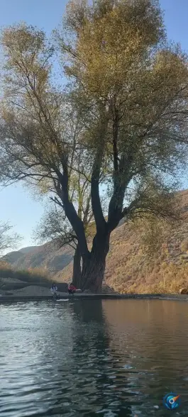 عکس استخر سر باز امامزاده عبدالله در هزارجریب نکا 2